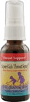 Herbs For Kids Super Kid's Throat Spray Peppermint