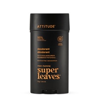 Attitude Super Leaves Men Deodorant Patchouli & Bourbon