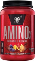 BSN Amino - X Endurance & Recovery Powder Fruit Punch