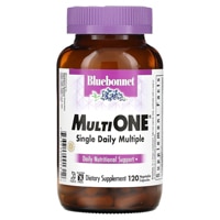 Bluebonnet Nutrition Multi One Single Daily Multiple