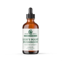 Cedar Bear Lion's Mane