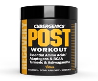Cybergenics Post Workout Citrus