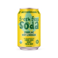 Fresh Fizz Organic Soda Sparkling Mint Lemonade
