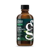 Gaia Herbs Kids Daily Elderberry Syrup Immune Support