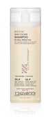 Giovanni Root 66 Max Volume Shampoo