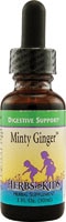 Herbs For Kids Minty Ginger™