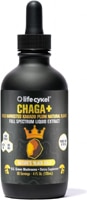 Lifecykel Chaga+ - Informed Sport Certified - Liquid Double Extract