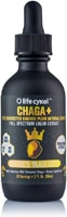 Lifecykel Chaga+ - Informed Sport Certified - Liquid Double Extract