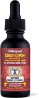Lifecykel Cordyceps+ - Informed Sport Certified - Liquid Double Extract