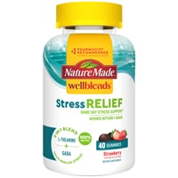 Nature Made Wellblends Stress Relief L Theanine & GABA Strawberry