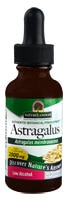 Nature's Answer Astragalus