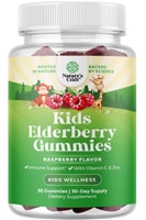 Nature's Craft Kids Elderberry Gummies Raspberry