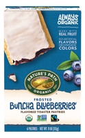 Nature's Path Organic Frosted Toaster Pastries Blueberry