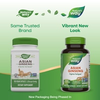 Nature's Way Asian Ginseng - Fights Fatigue