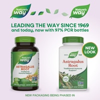 Nature's Way Astragalus Root