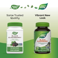 Nature's Way Black Elderberry - Traditional Immune Support