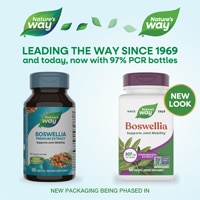 Nature's Way Boswellia - Standardized Extract