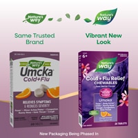 Nature's Way Cold+Flu Relief - Umcka Orange Flavored