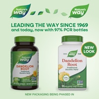 Nature's Way Dandelion Root