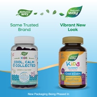 Nature's Way Kids Cool & Calm Gummies - Magnesium - L-Theanine Grape Flavored