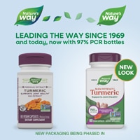 Nature's Way Max Potency Turmeric