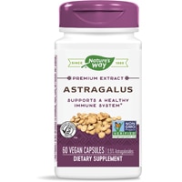 Nature's Way Premium Extract Astragalus - 0.5% Astragalosides