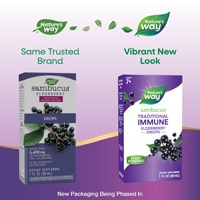 Nature's Way Sambucus Traditional Immune Elderberry Drops - Elderberry Extract