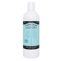 Plantlife Foaming Hand & Body Soap Refill - Fresh Mint