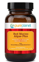 Pure Planet Red Marine Algae Plus