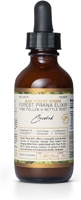 Raw Forest Foods Forest Prana Elixir Pine Pollen & Nettle Root-Elevated