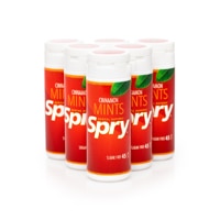 Spry Dental Defense Sugar-Free Mints Natural Cinnamon