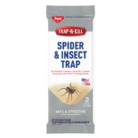 Trap-N-Kill Spider & Insect Traps