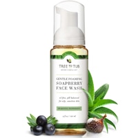 Tree to Tub Balancing Tea Tree Face Wash for Oily Skin