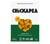 Chickapea Non-GMO Organic Shells Pasta