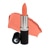 Gabriel Lipstick Salmon