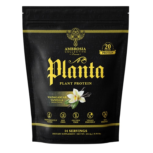 Ambrosia Planta Plant Protein Madagascar Vanilla