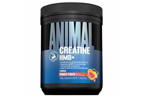 Animal Creatine HMB+ Power Punch