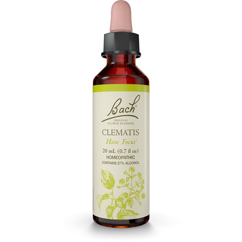 Bach Original Flower Remedies Clematis Flower Essence