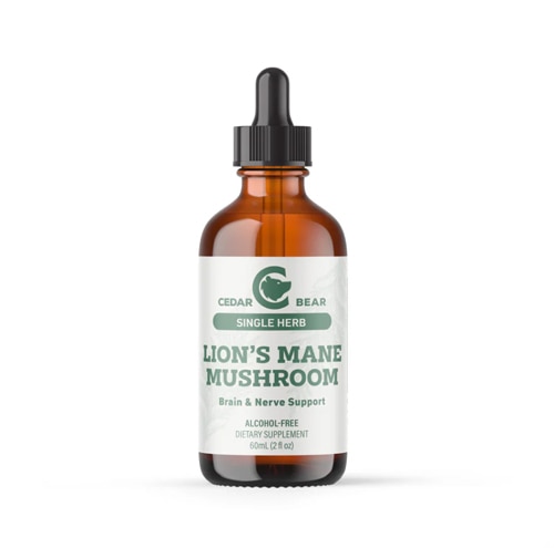 Cedar Bear Lion's Mane