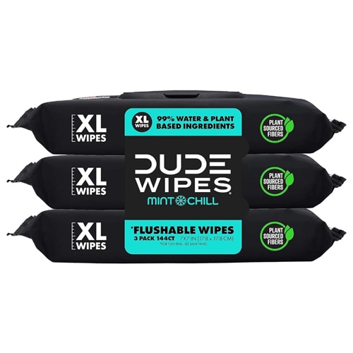 DUDE Wipes XL Flushable Wipes Mint Chill - 3 Packs