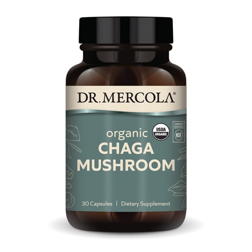 Dr. Mercola Organic Chaga Mushroom