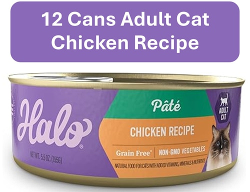 Halo Adult Cat Wet Food Pate 5.5 oz Grain-Free Chicken Recipe