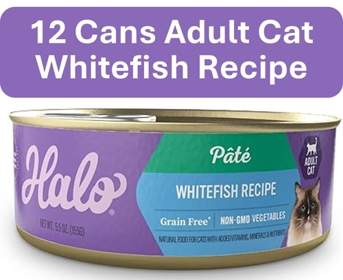 Halo Adult Cat Wet Food Pate 5.5 oz Grain-Free Whitefish Recipe