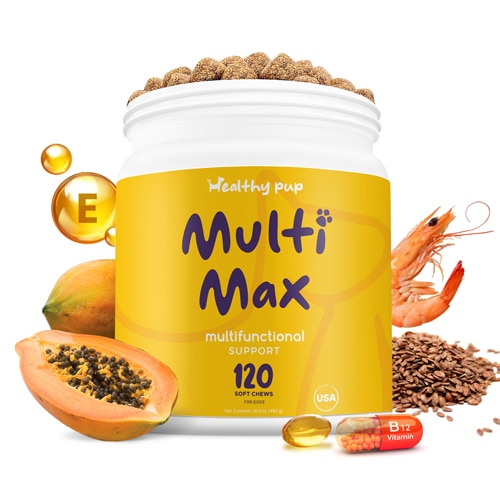 Healthy Pup Multi Max for Dogs