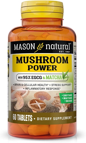 Mason Natural Mushroom Power with Matcha Supports Brain and Cellular Health Inflammatory Response &Stress Support