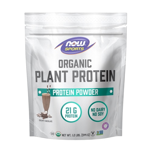 NOW Sports Organic Protein Plant Protein Powder Creamy Chocolate