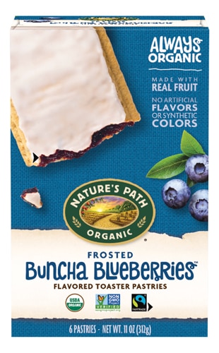 Nature's Path Organic Frosted Toaster Pastries Blueberry
