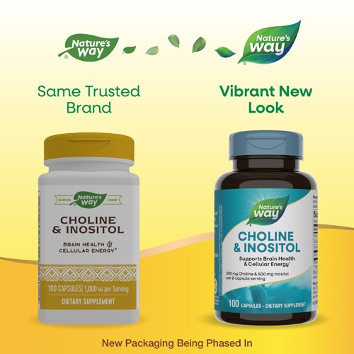 Nature's Way Choline & Inositol - Supports Brain Health & Cellular Energy