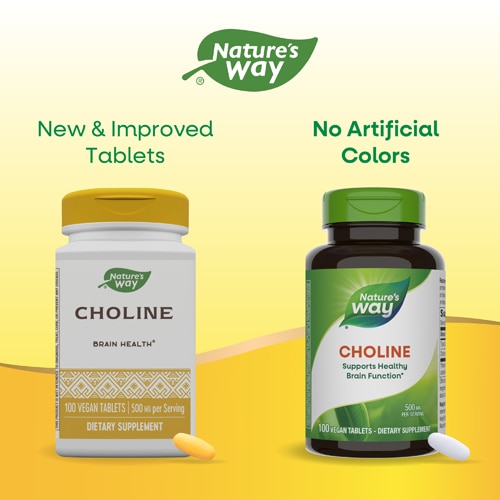 Nature's Way Choline - Supports Healthy Brain Function