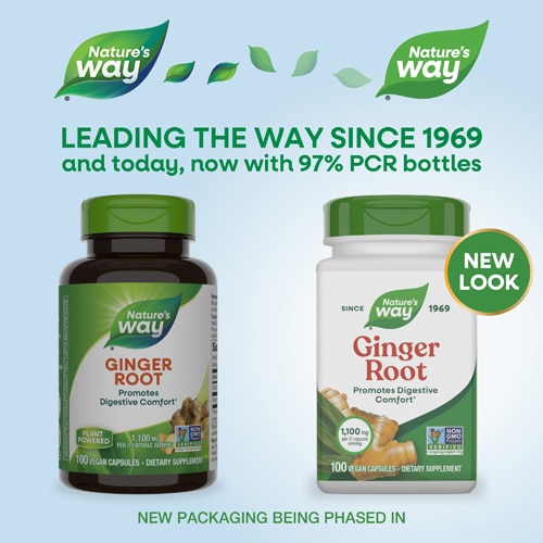 Nature's Way Ginger Root - 1100 mg Per 2-Capsule Serving - Digestive Comfort